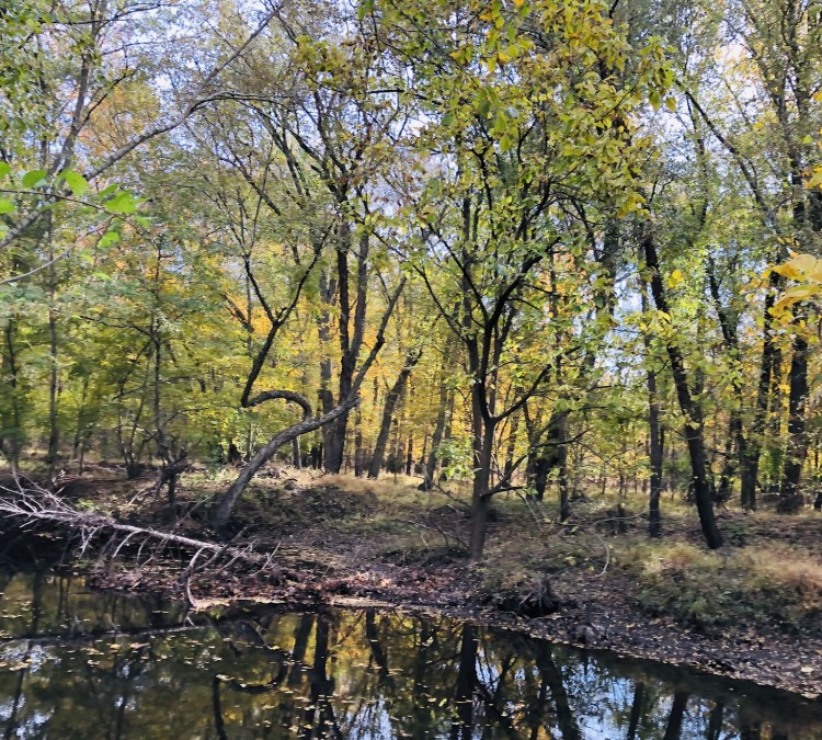 Rancocas Creek Linear Park (Medford,&nbspNJ)